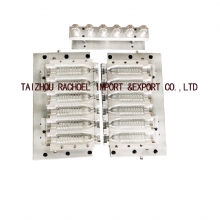 PET  blowing mould